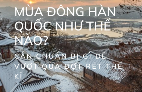 Mùa Đông Hàn Quốc Như Thế Nào? Cần Chuẩn Bị Những Gì Để Trải Qua Đợt Rét