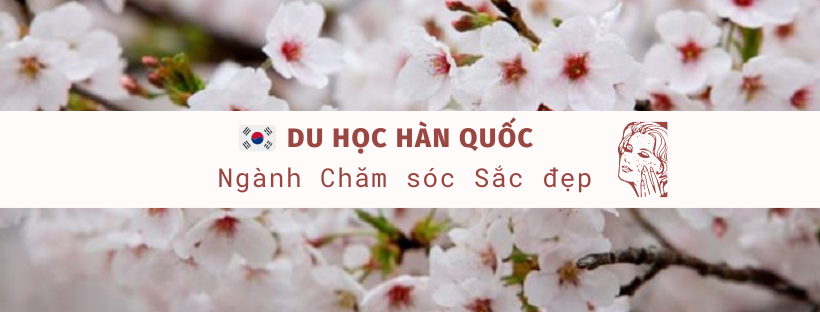 du-hoc-han-quoc-nganh-cham-soc-sac-dep